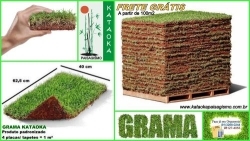 Kataoka Paisagismo - Grama Esmeralda