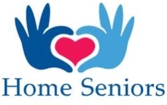HOME SENIORS CUIDADORES DE IDOSOS LTDA