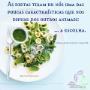 A verdade das dietas