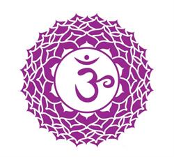 Pulso de Vida - Massagem Tântrica, ayurvedica & Terapias