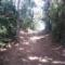 Trilha-Ecológica-Mont