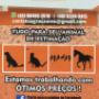 Enviado por visitante em 01/08/2017