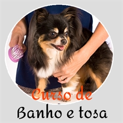 Curso de Banho e Tosa