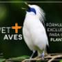 Enviado por visitante em 03/03/2018