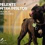 Enviado por visitante em 03/03/2018