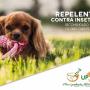 Enviado por visitante em 03/03/2018