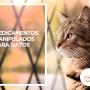 Enviado por visitante em 03/03/2018