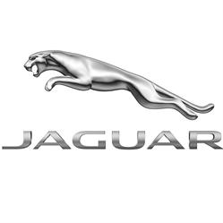 Jaguar Intercar