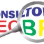 Consultor SEO BR