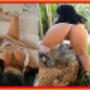 Enviado por visitante em 03/09/2018