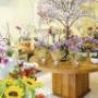 Flores Vip