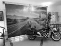 BackDrop Para Eventos