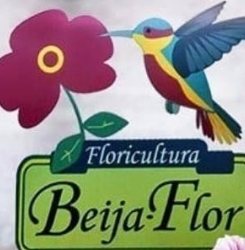 Floricultura Beija Flor