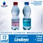 lindoya