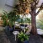Jungle