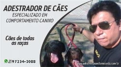 Canil Macedo
