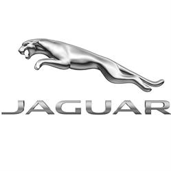 Jaguar Serviço Europamotors Villa Lobos