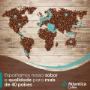 Exportadora de Café no Brasil