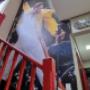 Freddie on stairs