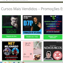 O Portal do Home Office