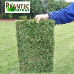 Plantec Gramas Comercio e Serviços
