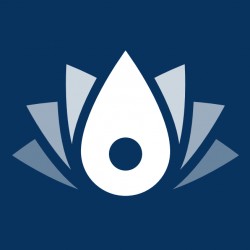 Yotus.com