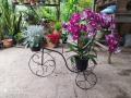 Serviços de Jardinagem