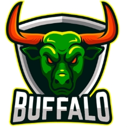 Buffalo Informática e Harware