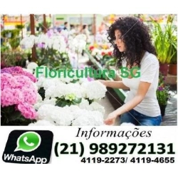Flores Niterói