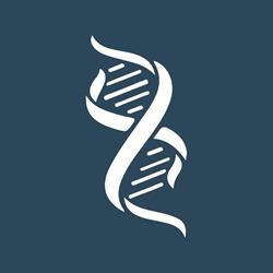 Segmedic - Filial 2