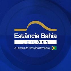 Estância Bahia Leilões - Cuiabá MT