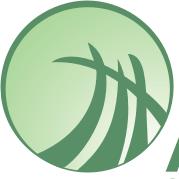 Aliança Consultoria Mercantil Ltda