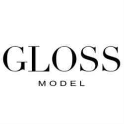 Gloss Model