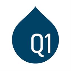 Q1 Ambiental