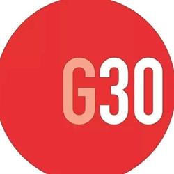 G30 Gestão de Marcas