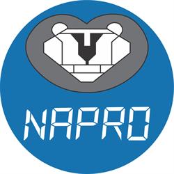 NAPRO Eletrônica Industrial Ltda