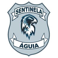 Segurança Eletrônica em geral - Sentinela Águia