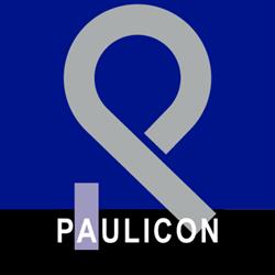 Paulicon Consultoria Contabil