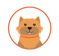 Clínica Veterinária 3 Irmãos - Plantão 24h