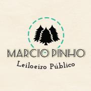 MARCIO PINHO PEREIRA LEILOEIRO PÚBLICO
