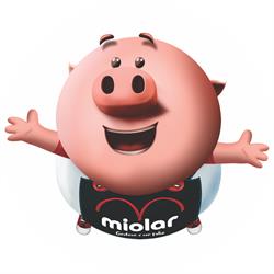 Miolar Alimentos LTDA