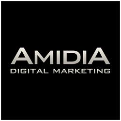 Amidia Digital Marketing