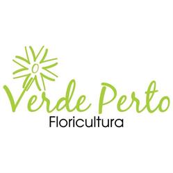 Verde Perto Floricultura