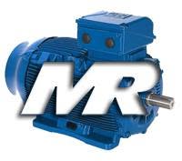 MR Motores Elétricos