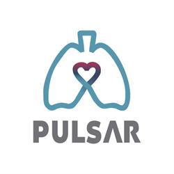 Clínica Pulsar