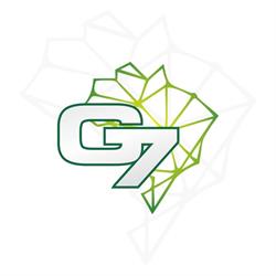 G7 Log Transportes