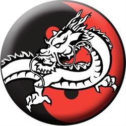 Academia Dragão Chinês - Kung Fu Campinas