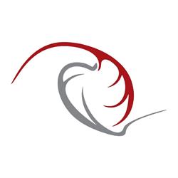 Angio Cor - Clínica Cardiovascular em Curitiba