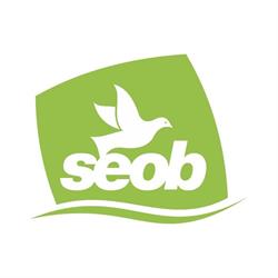 Associação Espírita Obreiros do Bem