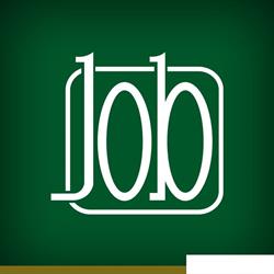 Job Terceirização